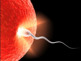 Biological and Non-biological causes of Infertility
