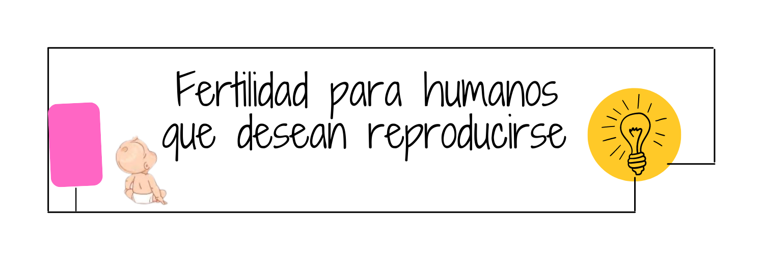 Fertility Online Online Fertility Program